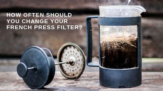 How do we know when to replace french press filter?