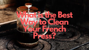 4 Easy Ways to Clean French Press Properly