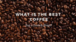 What is the best coffee for french press?