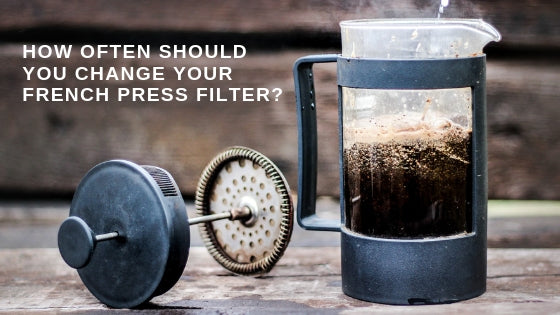 How often should you change your french press filter?