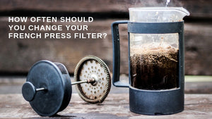 How Often Should You Replace Your French Press Filter?