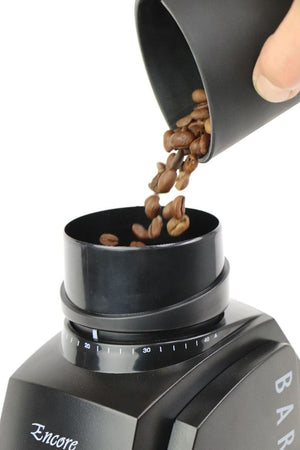 Coffee Gator French Press Coffee Maker – Immune Boost Naturals